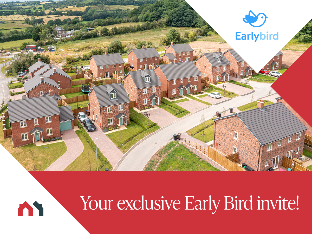 Early Bird buying scheme