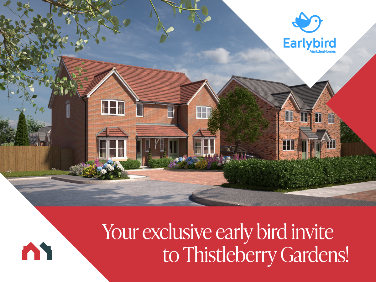 Early Bird buying scheme